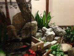 iphone_upload_pic-青藤茶馆(南山路店)