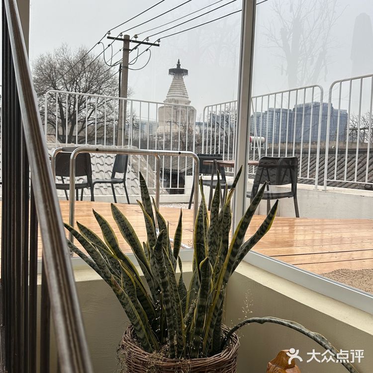 找到了胡同里空间很大的咖啡馆！木质风还有猫！