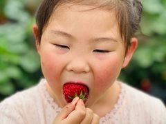 -小鱼草莓采摘园农家乐·小鱼餐厅