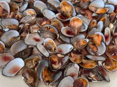 -覃记海鲜美食餐厅