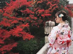 -有栖山 清光院 清水寺