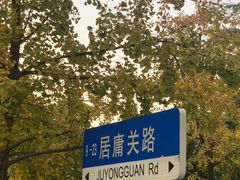 -八大关景区