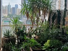 -FUNFUN有饭花园聚会餐厅