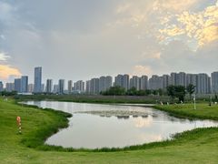 -洋湖国家湿地公园