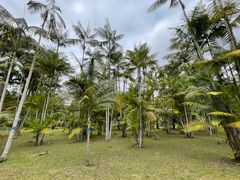 -中国科学院西双版纳热带植物园