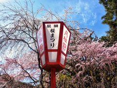 -醍醐寺