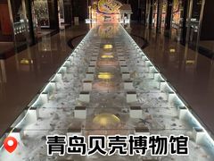 -青岛贝壳博物馆