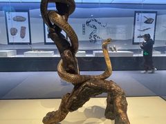 -国家自然博物馆