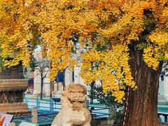 -北京石刻艺术博物馆(五塔寺)
