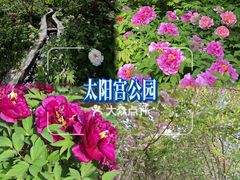 -太阳宫公园