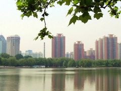 -莲花池公园