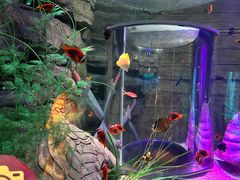 -沈阳海洋探索中心