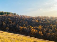 -敕勒川草原文化旅游区