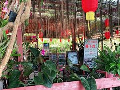 -万兴启丰椰子文化园餐厅