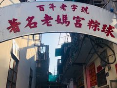 -老妈宫粽球