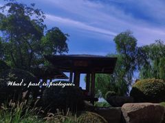 -莫子山公园