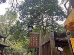 -灵隐飞来峰景区
