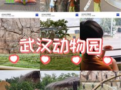-武汉动物园