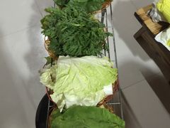 -蘑统田下·野生菌火锅