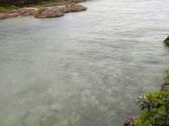 -上野德国文化村