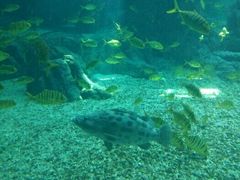 -福州罗源湾海洋世界旅游区