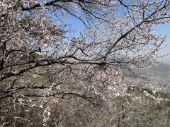 -香山公园