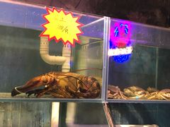 -辉记炭烧海鲜大排档·老字号(福田店)