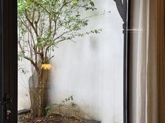 -黎里古镇