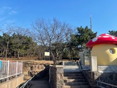 -青岛动物园