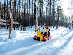 -洛阳白云山景区