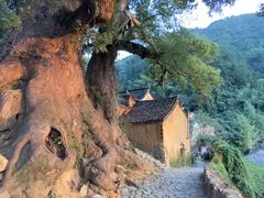-杨家堂村