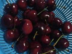 -江杨农产品批发市场