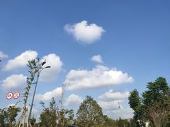 -九龙奇迹海鲜大排档(万象城店)