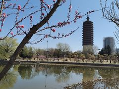 -西海子公园