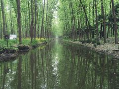 -合肥滨湖国家森林公园