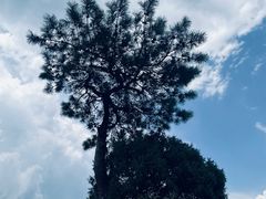 -大明山自然探索公园