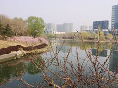 -大兴滨河森林公园