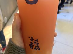 -春丽小马(济南恒隆广场店)