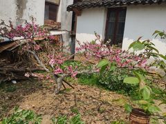 -张家港凤凰山景区河阳山歌馆