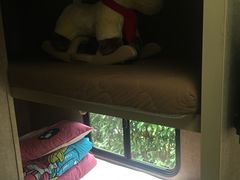 -崇明东平国家森林公园烧烤房车露营地