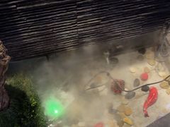 -上足·影院足道·SPA(红岭店)