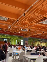 点击看大图 -宝燕乐园(闵行旗舰店)