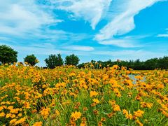 -汉长安城未央宫国家考古遗址公园