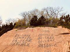 -棒棰岛宾馆景区