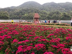 -广州市石门国家森林公园