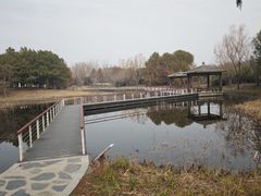 -同里国家湿地公园