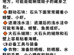 -巧克力渔家.小船海鲜胶东菜(三浴场店)