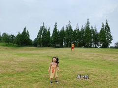 -成都保利公园皇冠假日酒店(熊猫基地店)