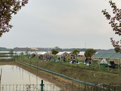 -梁子湖东篱老屋生态庄园
