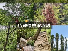 -抱龙峪